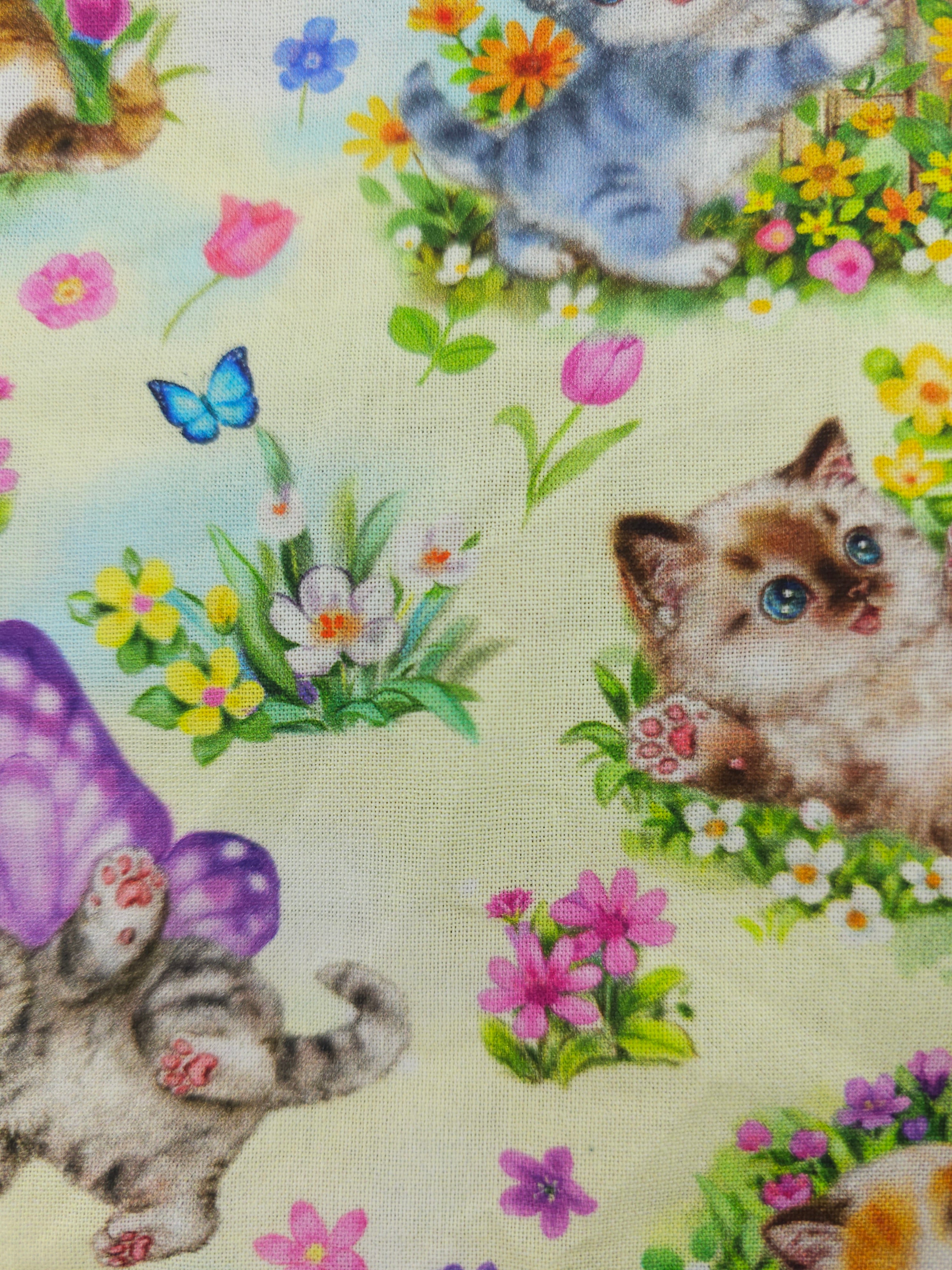 Fairy cat Cotton- 2m piece