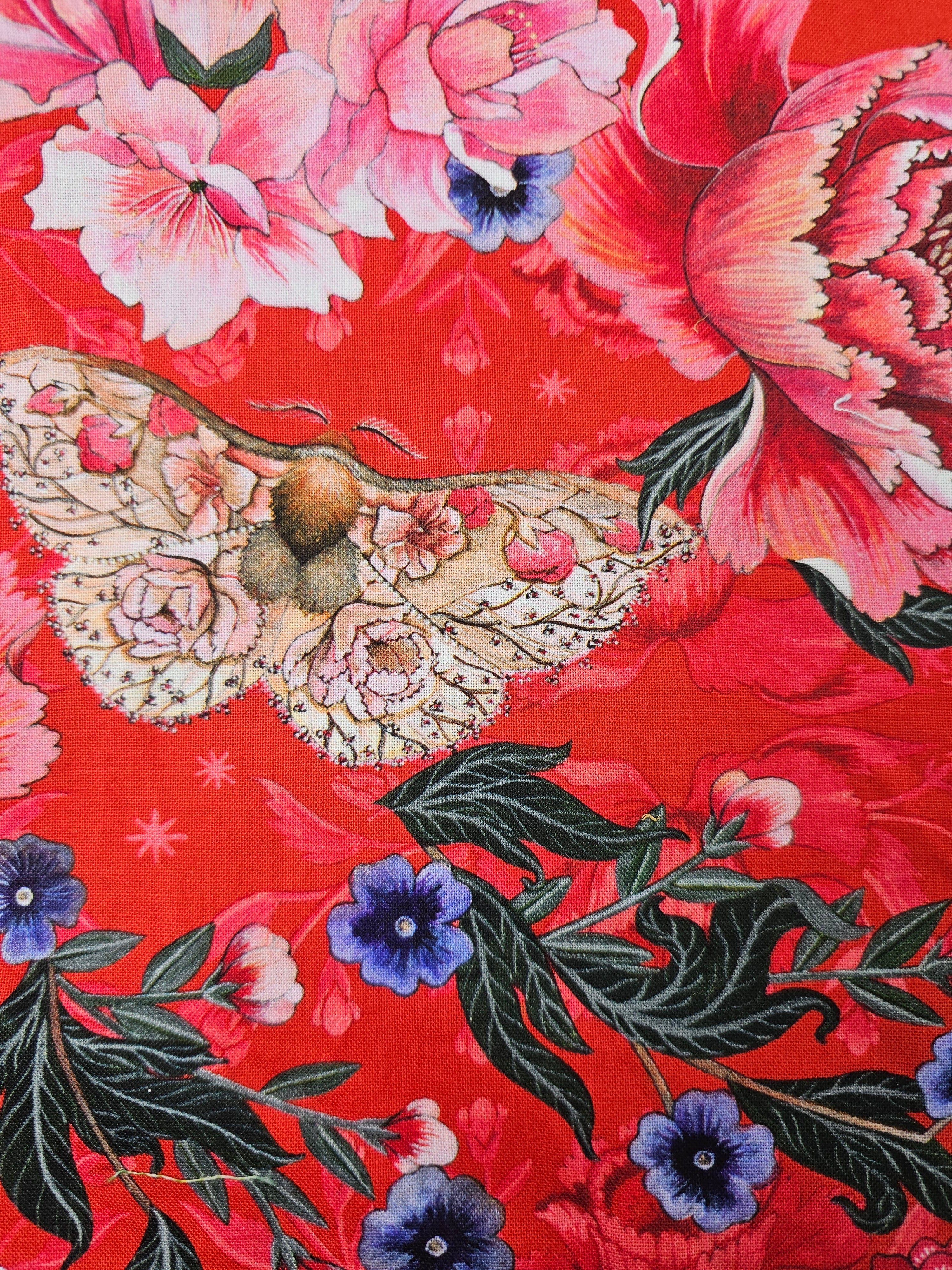 Butterfly rose