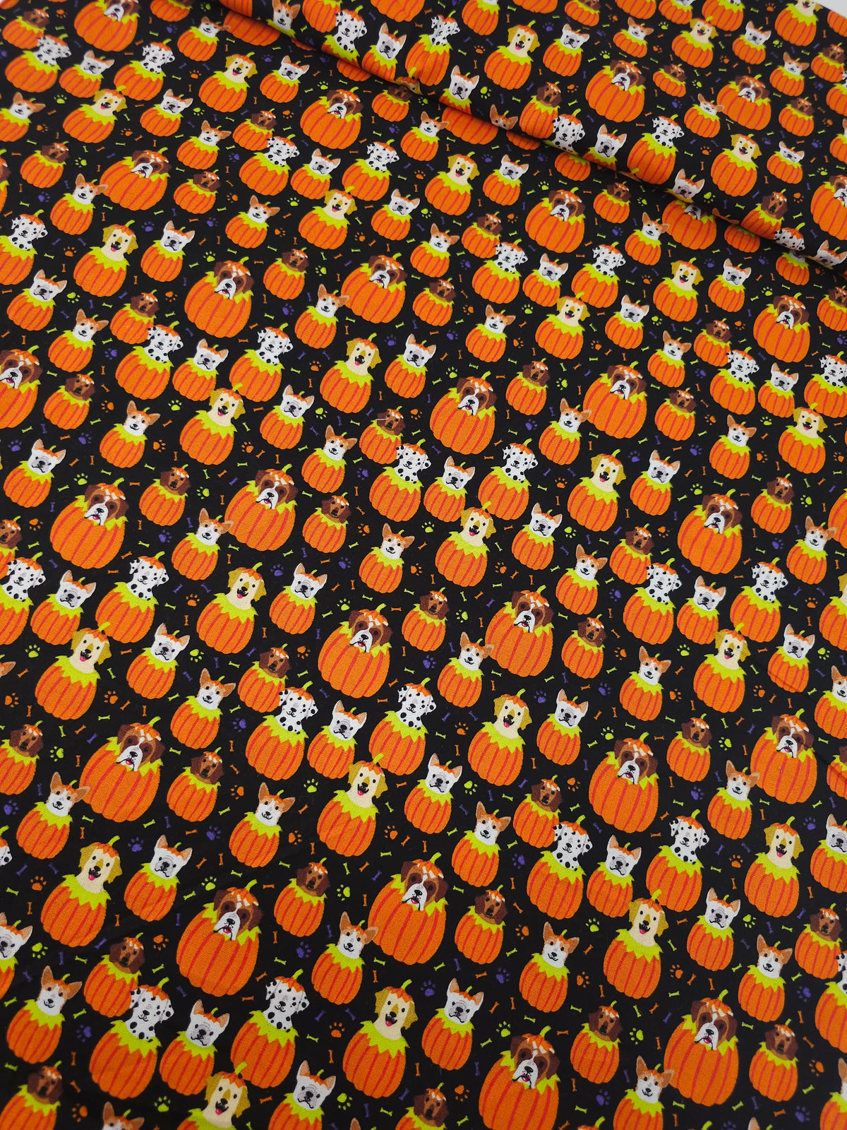 Pumpkin Puppies 100% Cotton
