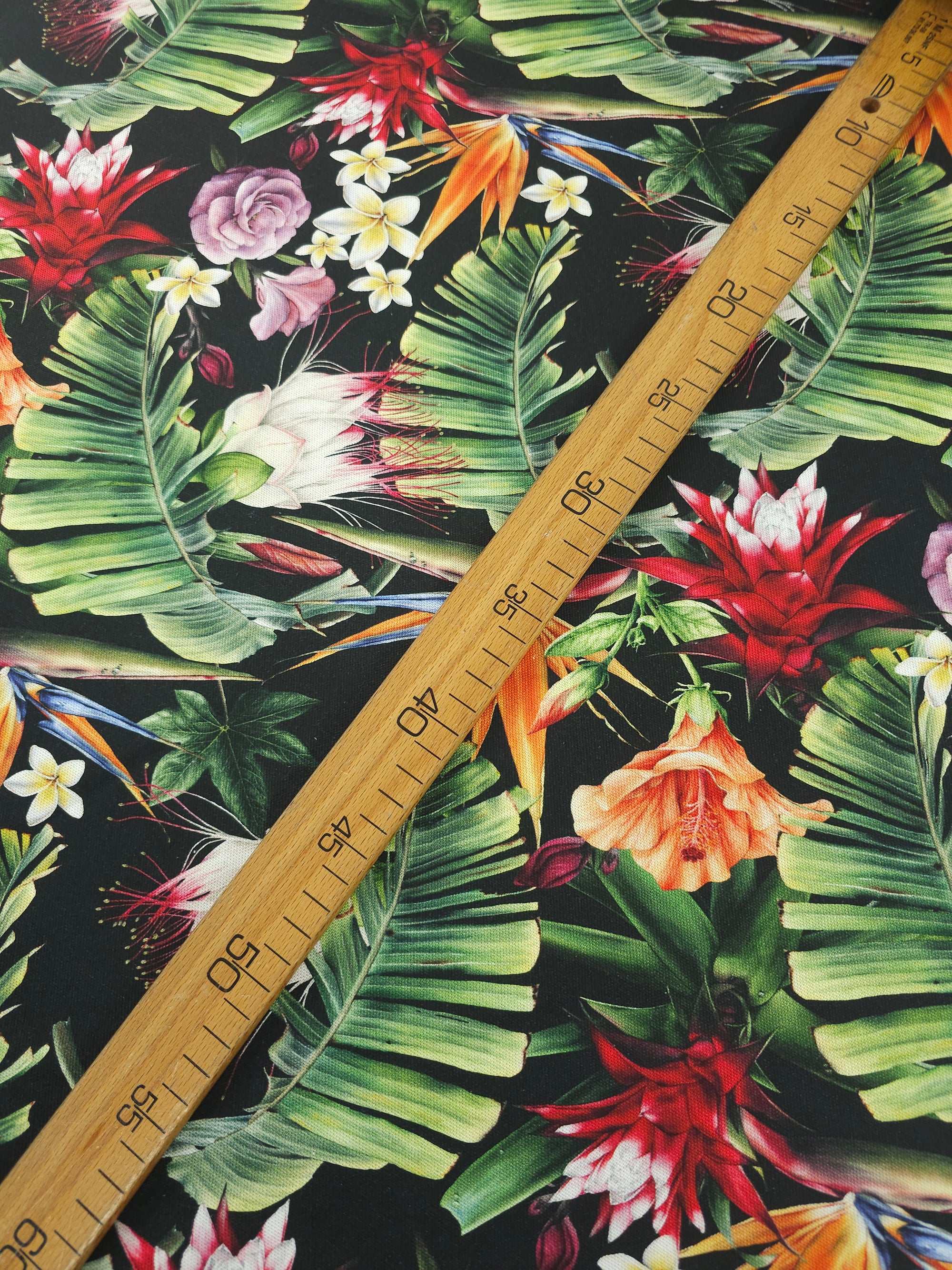 Tropical Botanics Canvas Cotton
