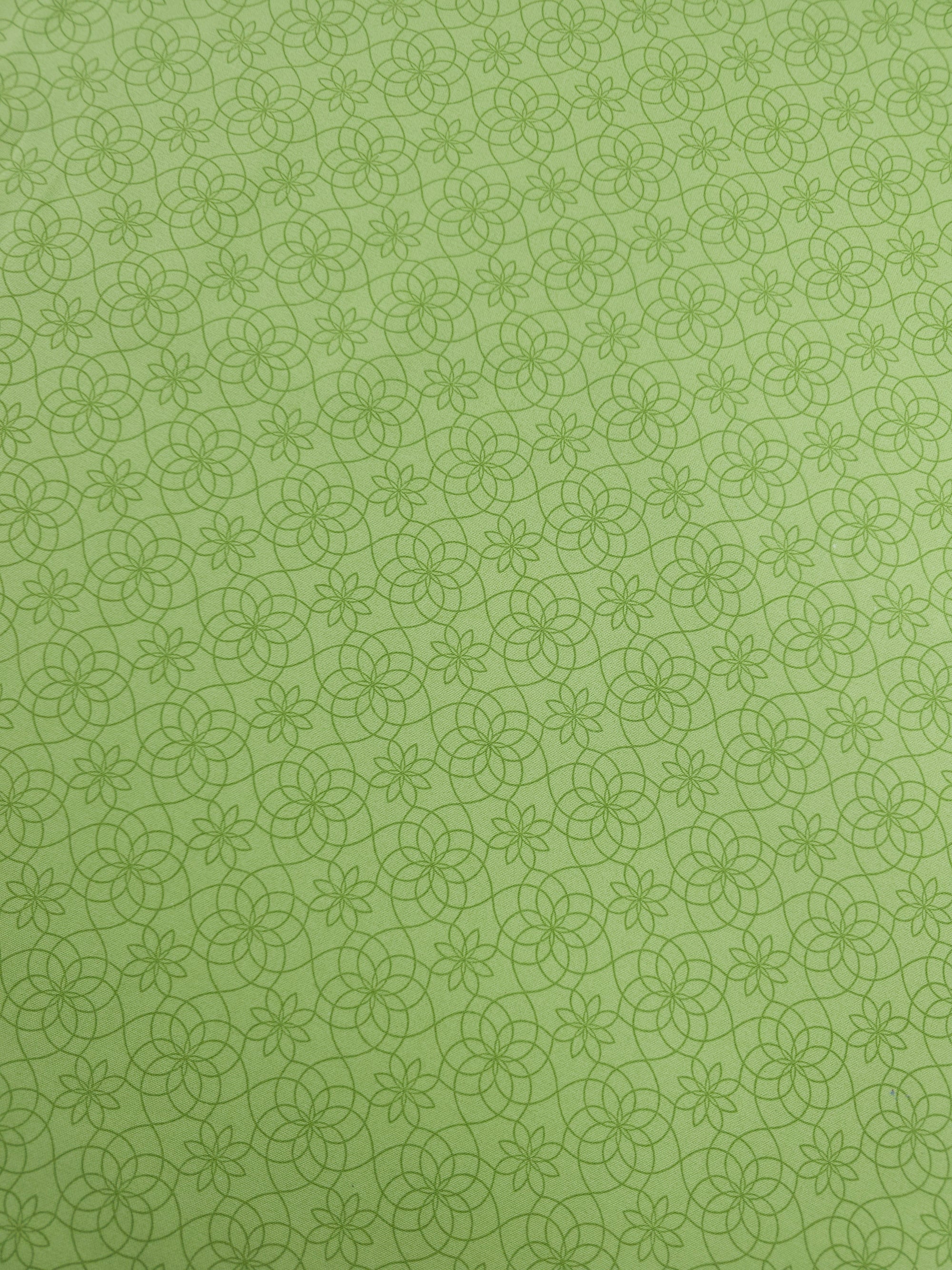 Pale Lime Gate Floral 100% Cotton - Benartex