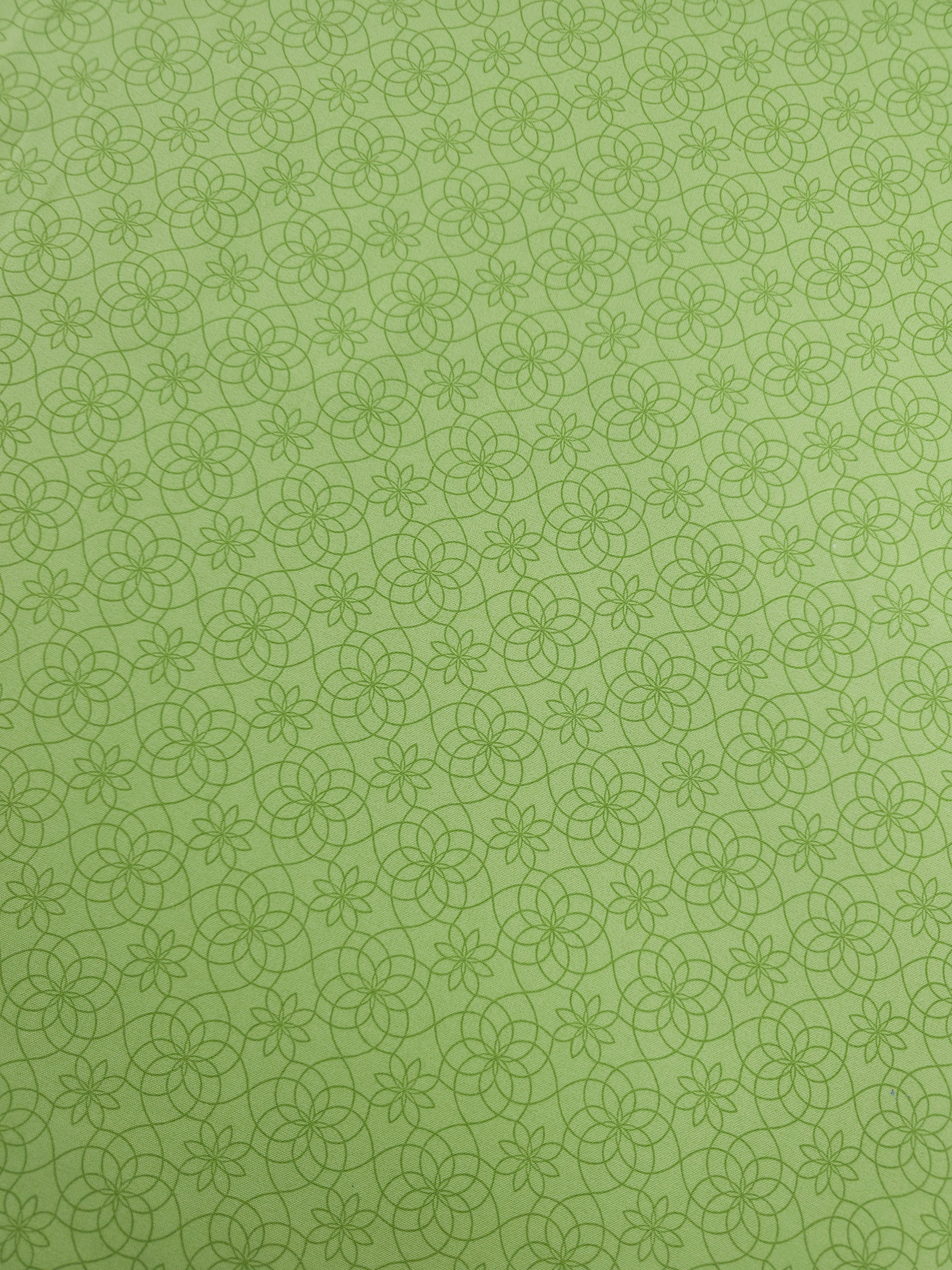 Pale Lime Gate Floral 100% Cotton - Benartex
