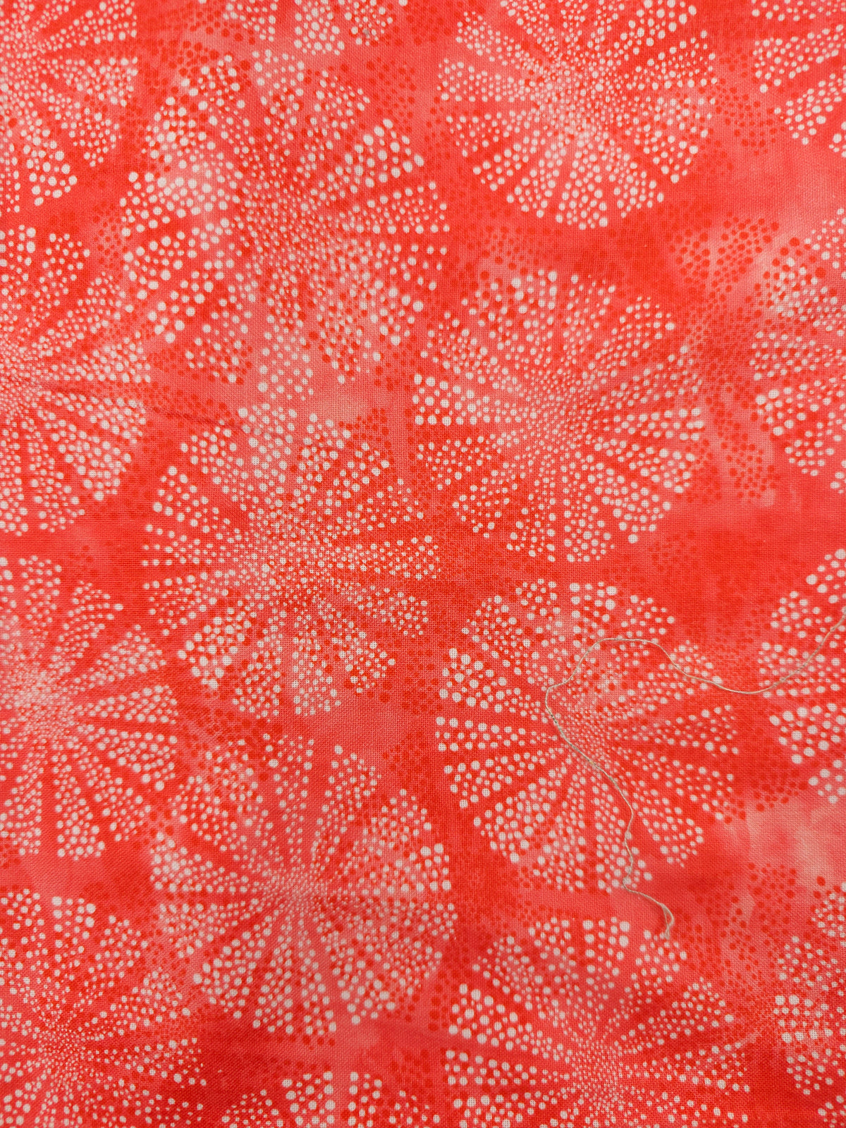 Red burst Cotton (Various sizes)
