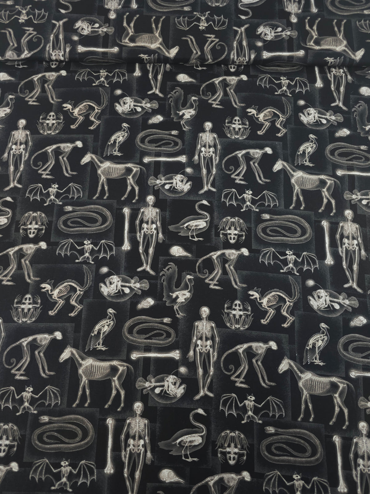 Spooky Skeletal X-Ray 100% Cotton