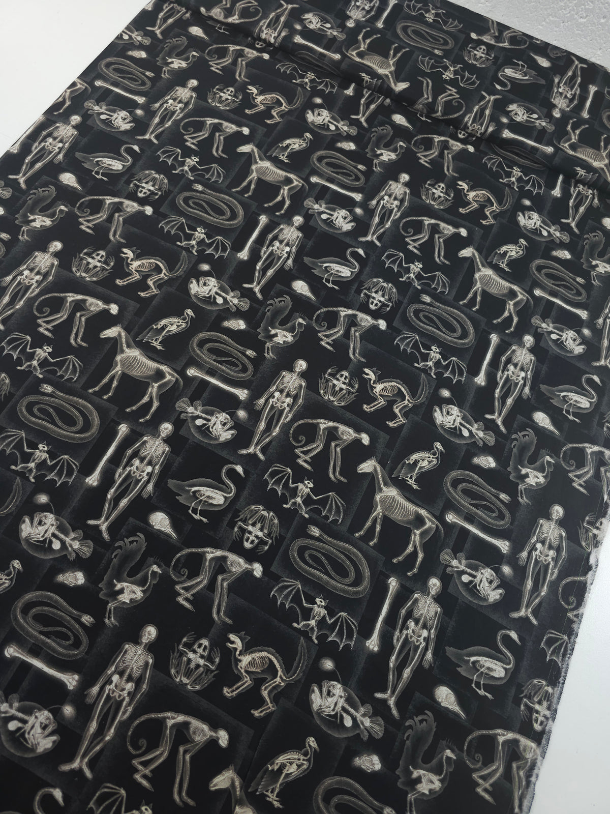 Spooky Skeletal X-Ray 100% Cotton