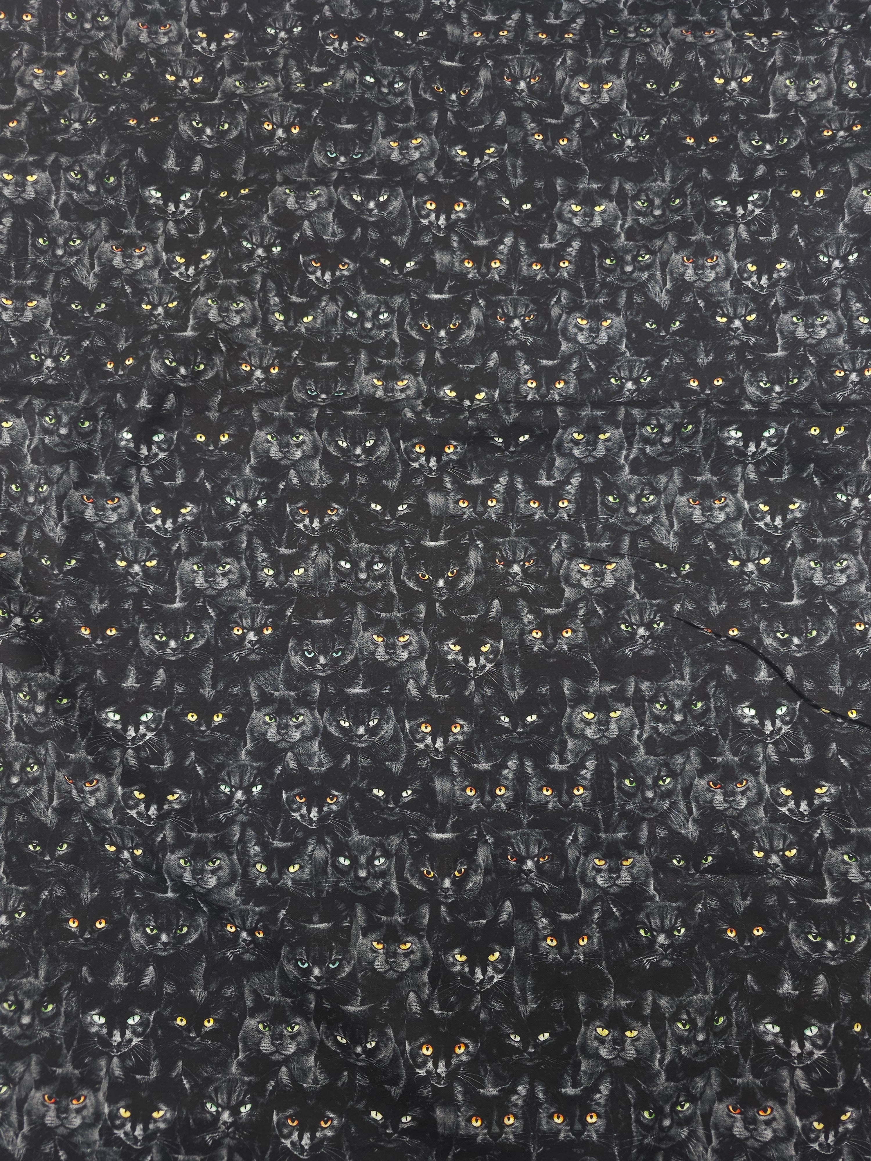 Black cat Cotton- 1.6m piece