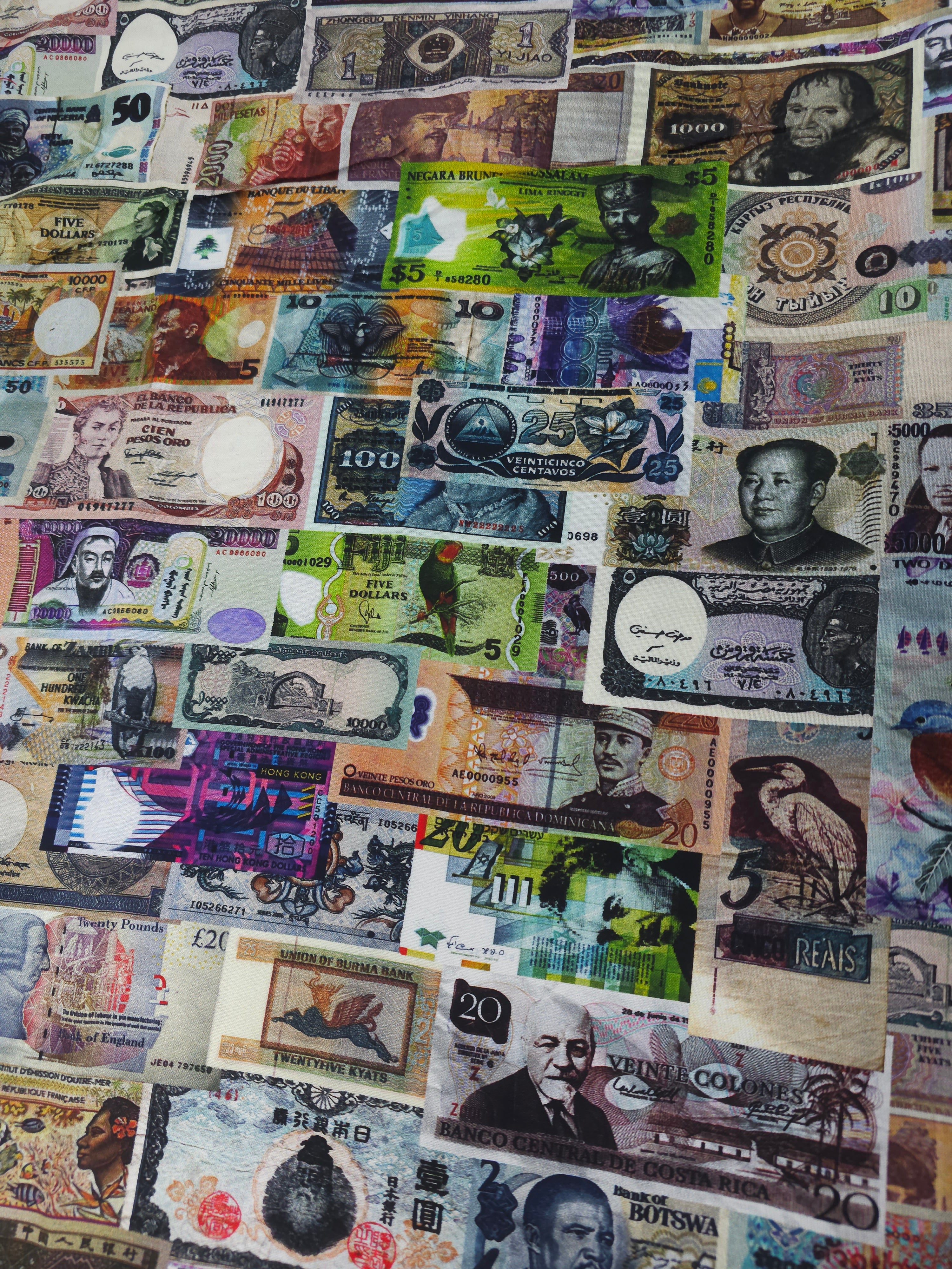 Money money money Cotton- 1.4m piece