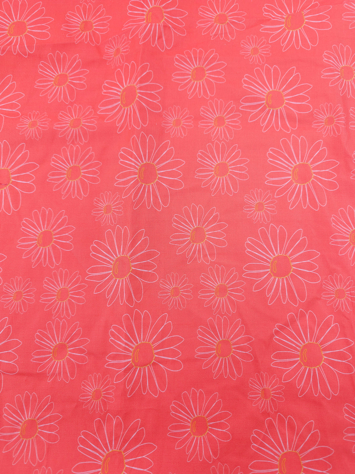 Salmon daisies Cotton- 1.2m piece