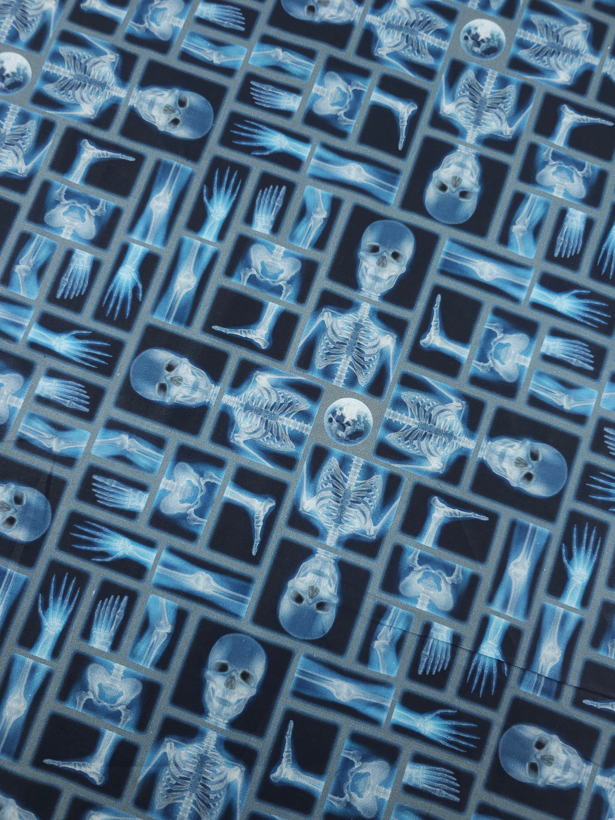 Blue/Black Skeleton Anatomy 100% Cotton