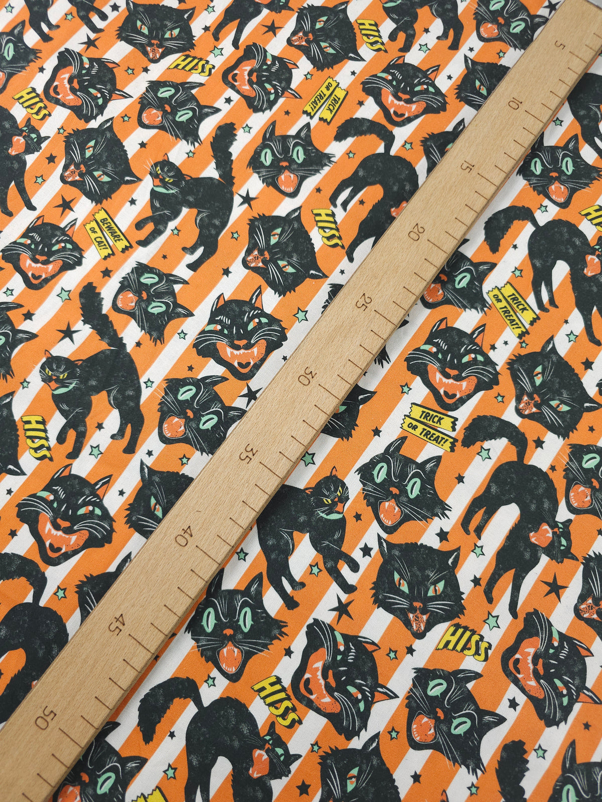 Orange Striped Trick Or Treat Cat 100% Cotton