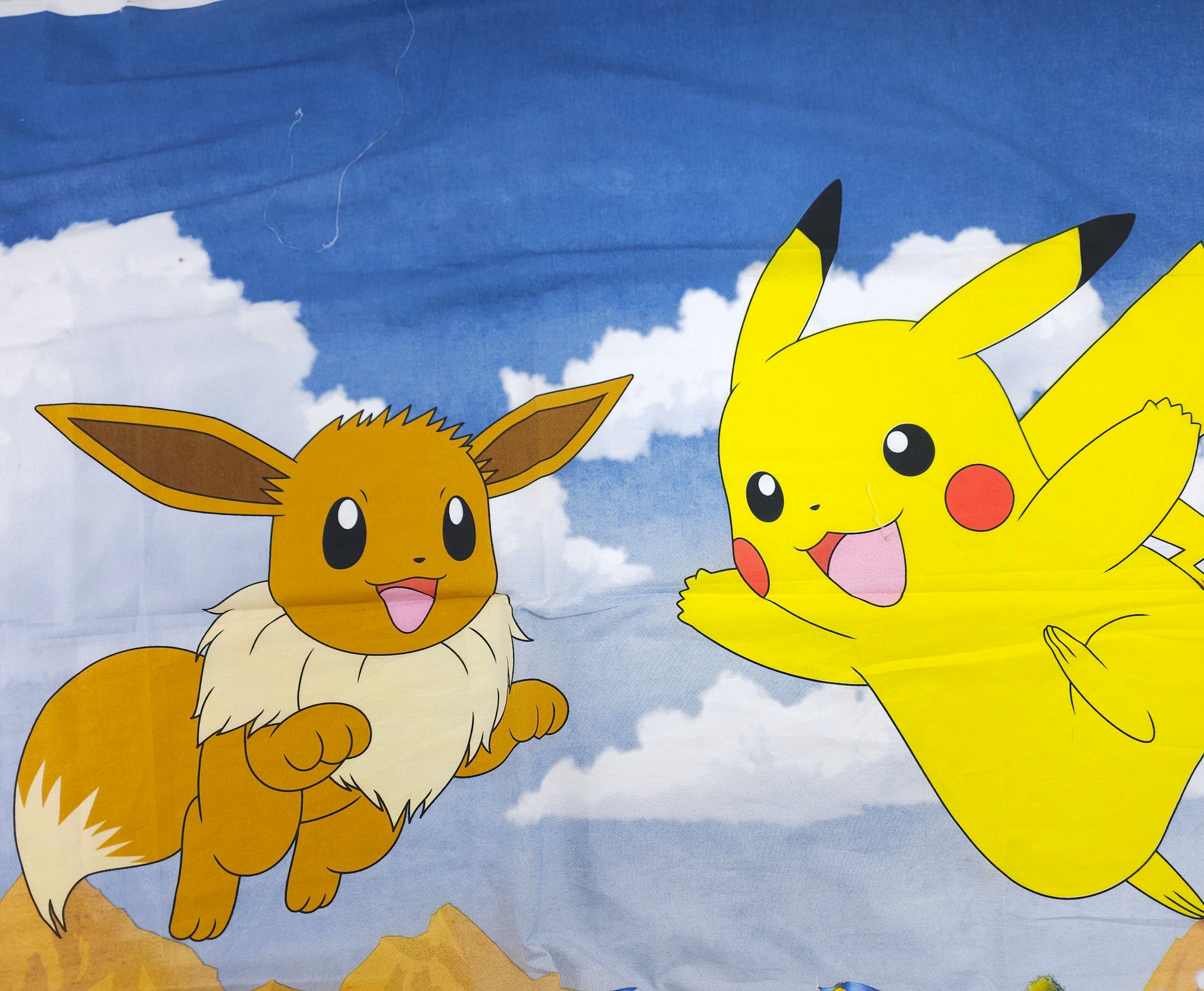 Pikachu Cotton - 2m Piece