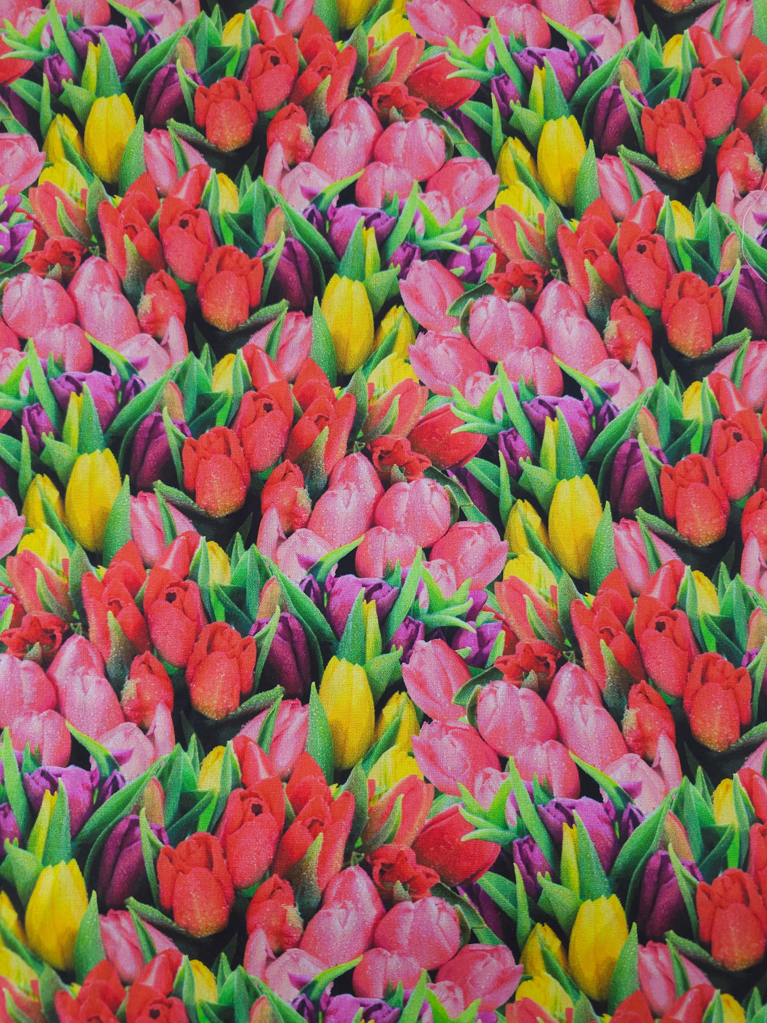 Tulip Field 100% Cotton