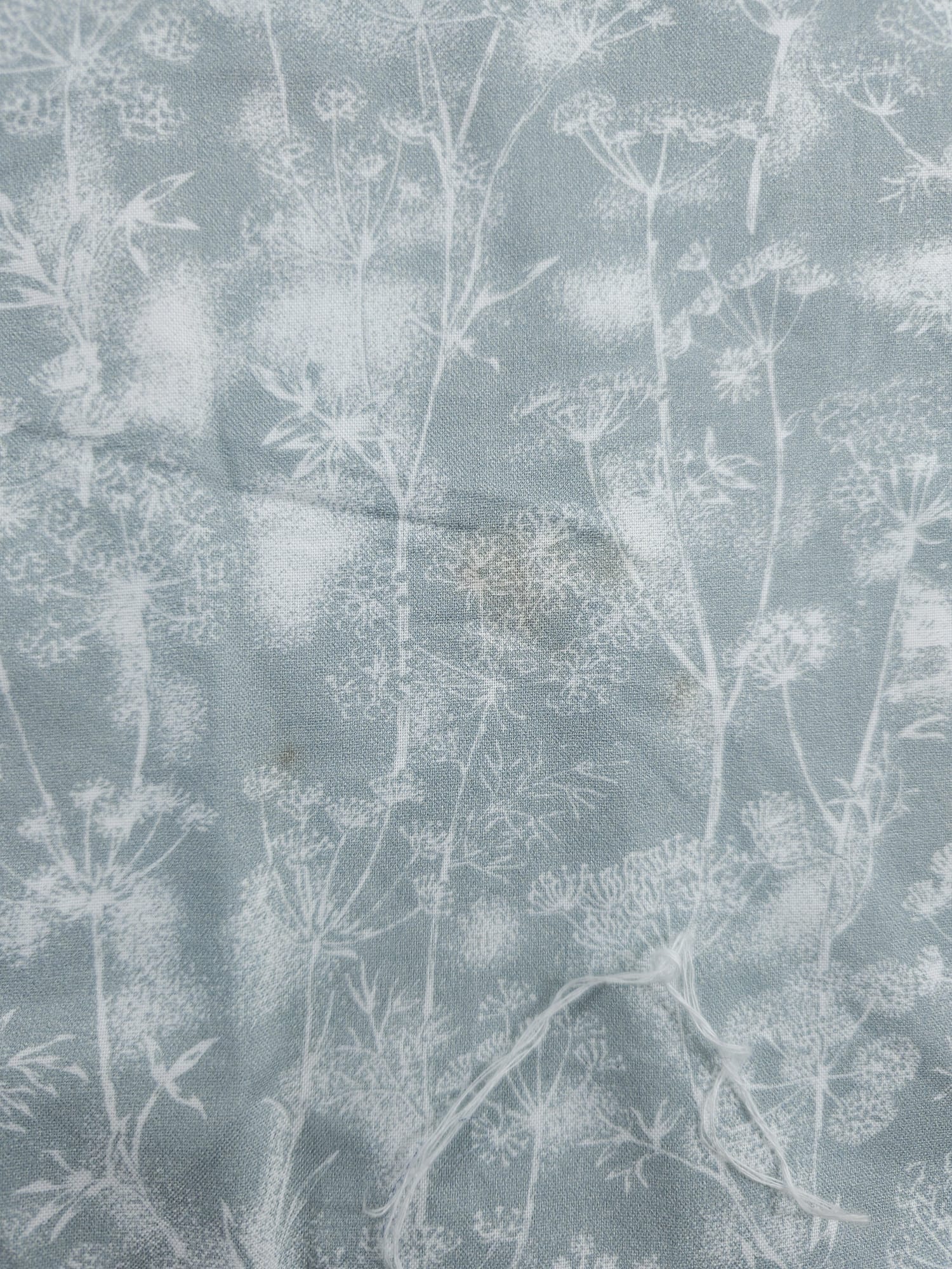 Frosty Vine Cotton (Defect) - 2.2m Piece