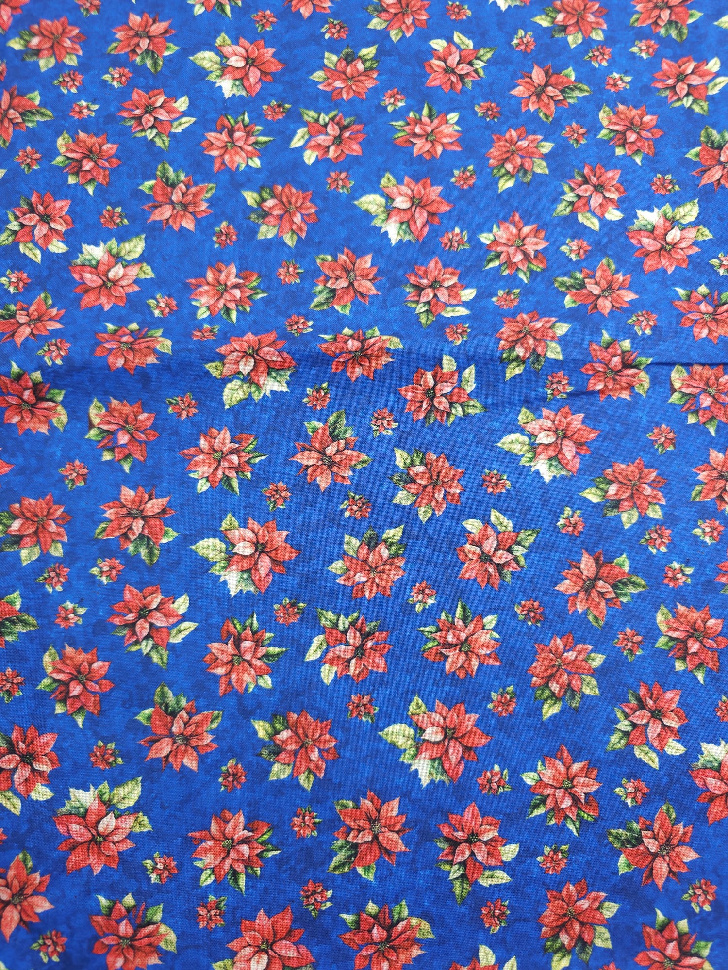 Blue Poinsettia Cotton - 1.6m piece