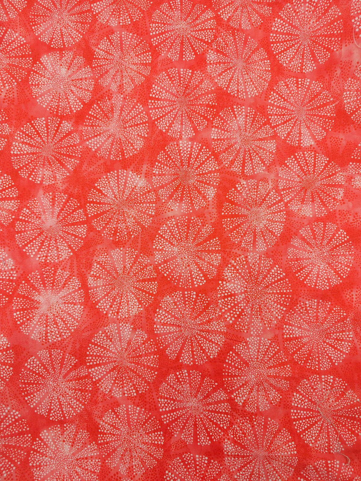 Red burst Cotton (Various sizes)
