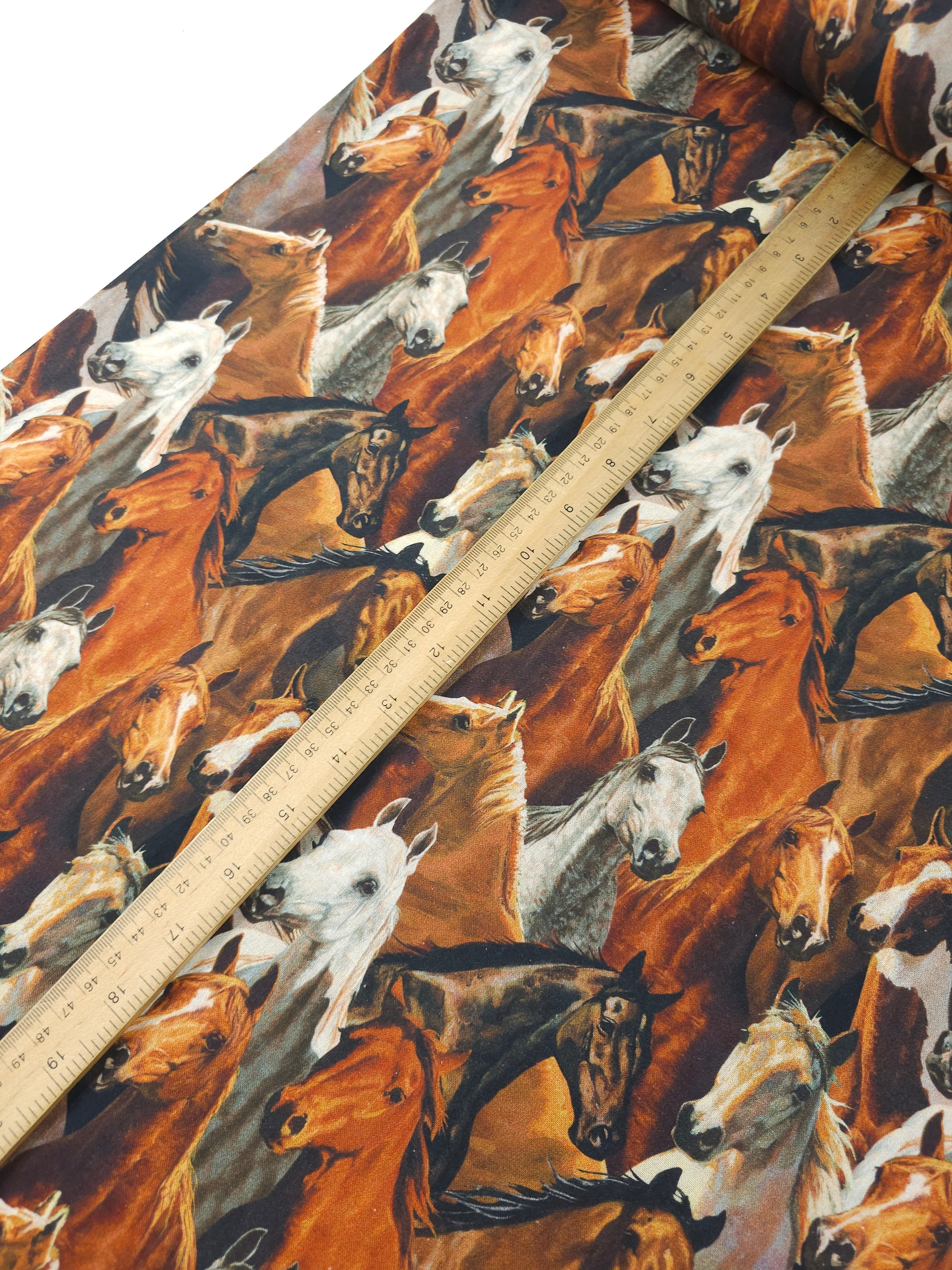 Horse Kingdom 100% Cotton