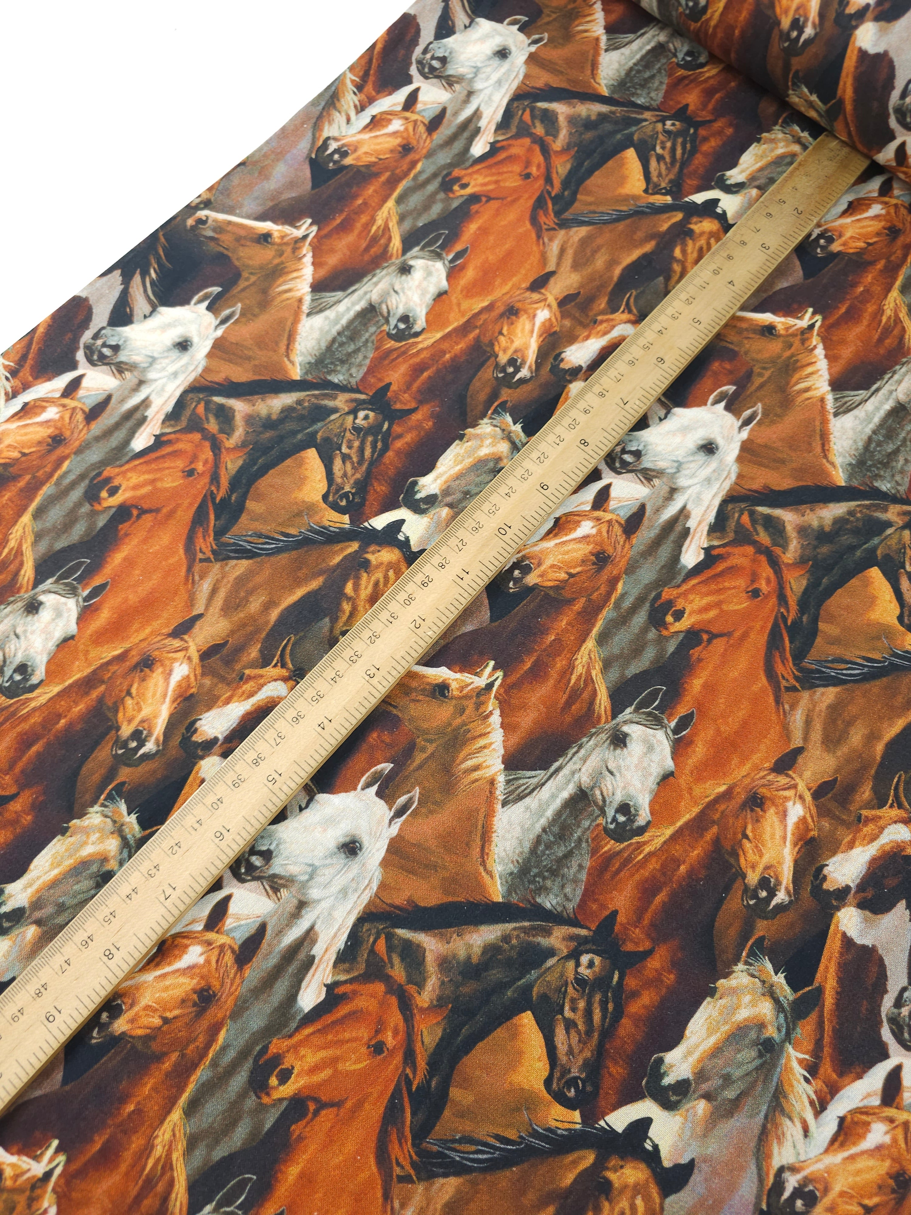Horse Kingdom 100% Cotton