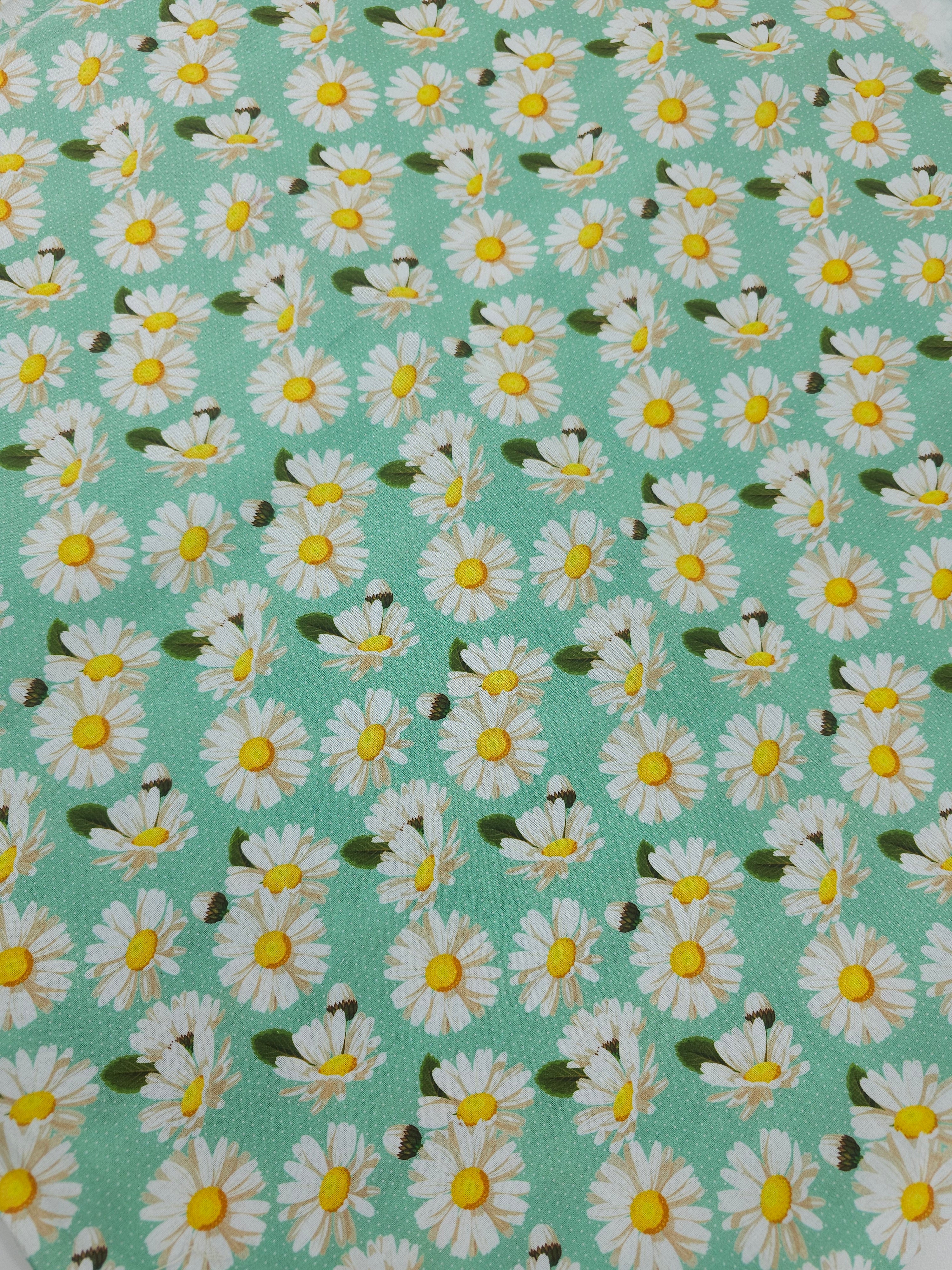 Mint daisy Cotton- 1.1m piece