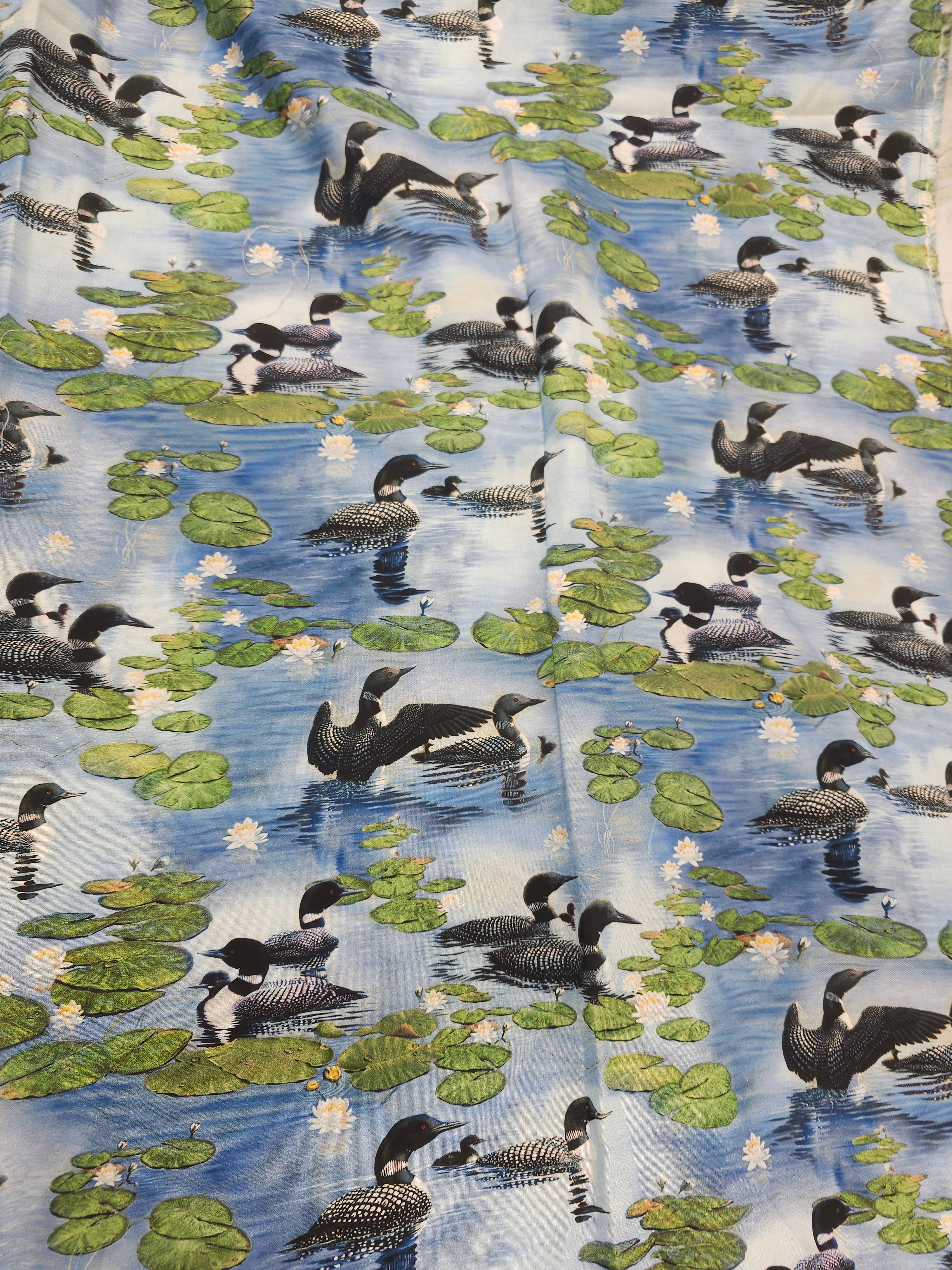 Swimming ducks Cotton- 2.5m piece